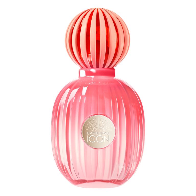 Banderas Perfume Mujer The Icon Splendid Edp 50ml Banderas