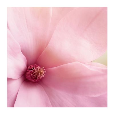 Imagen 2 del producto Perfume Mujer Beautiful Magnolia Intense Edp 30 Ml Estée Lauder