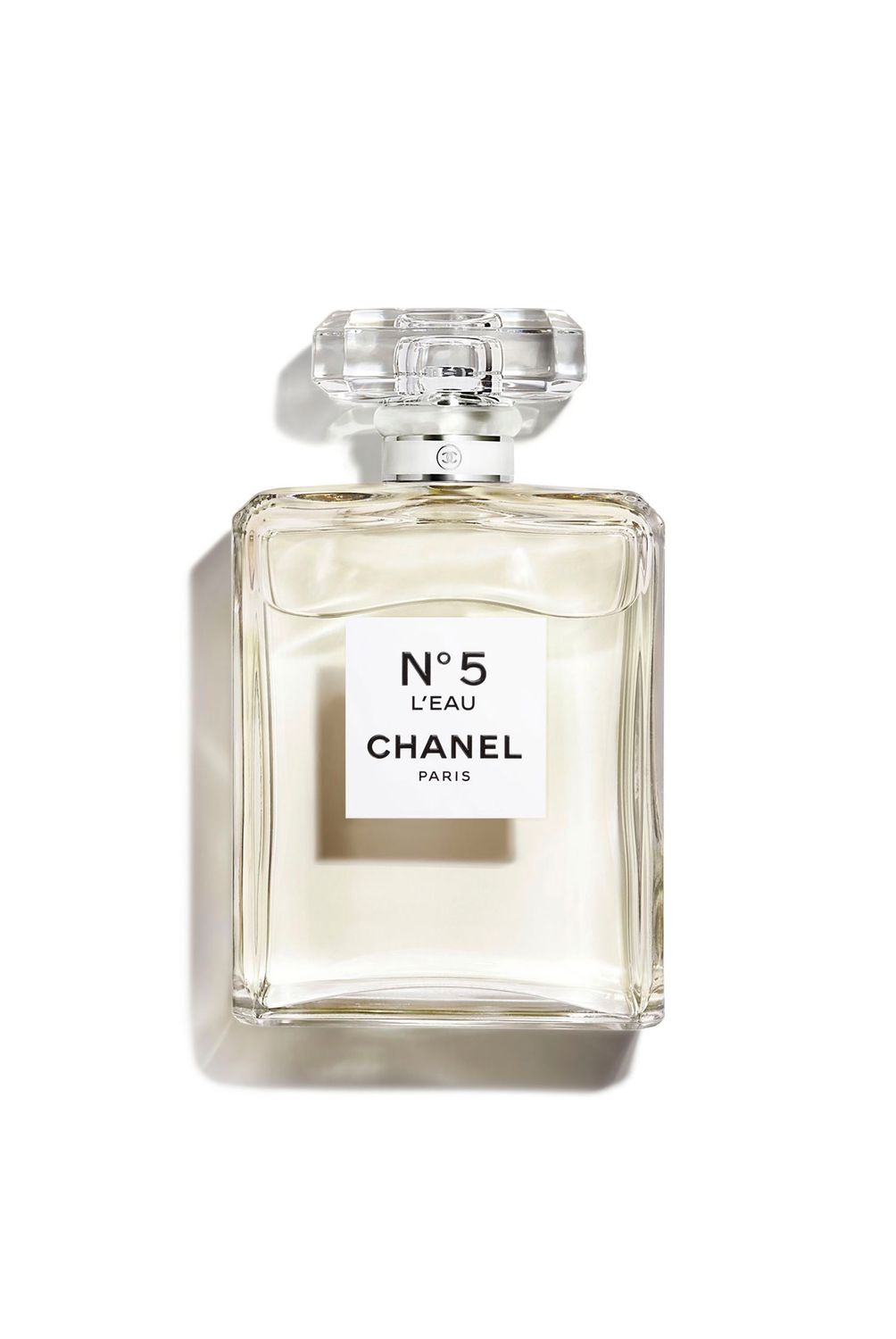 w=1004,h=1500,fit=pad