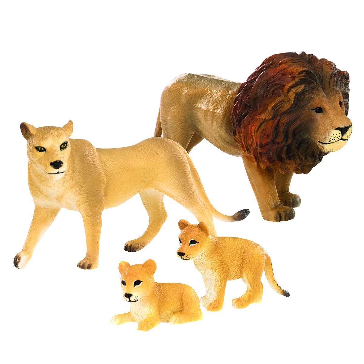 TERRA ANDES - Caramba Familia De Leones Terra Andes