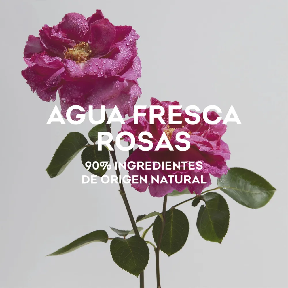 Adolfo Domínguez Agua Fresca de Rosas EDT 120 ml, foto 10