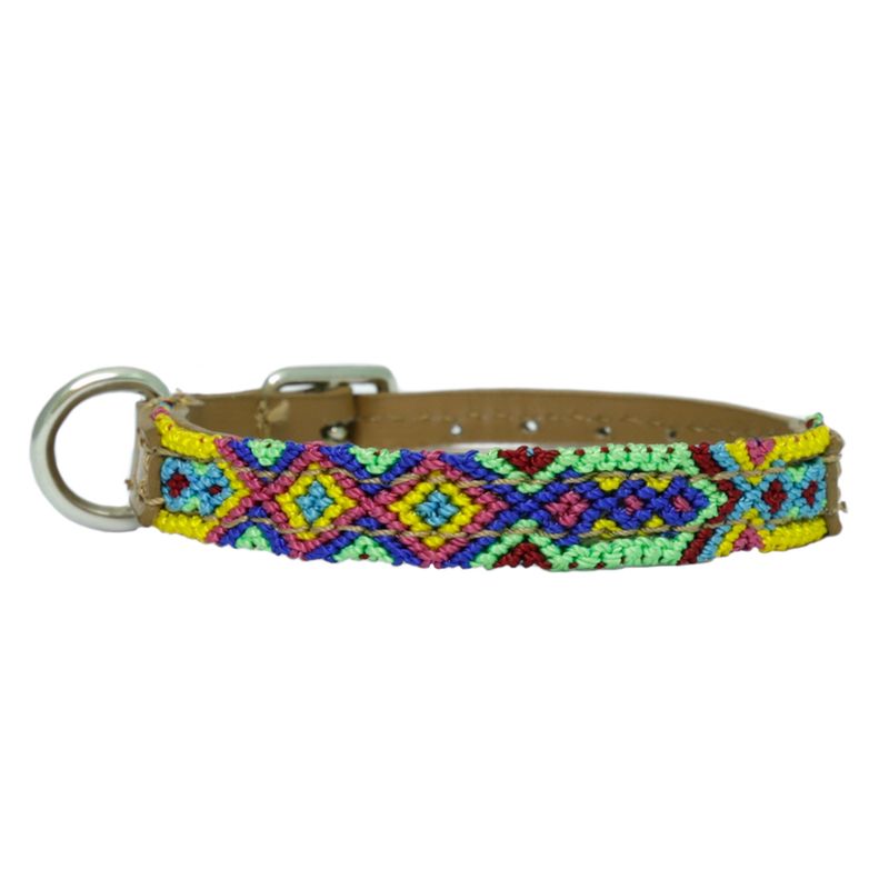 BO COLLARES - Collar para Perro XXS
