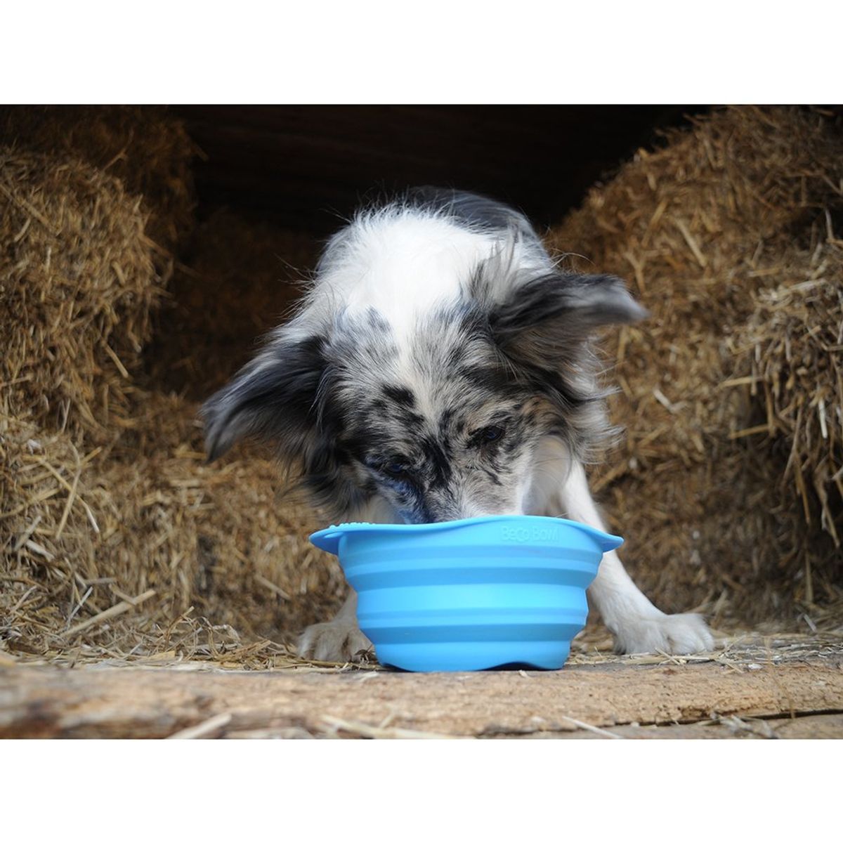 BECO PETS - Plato Perro Viaje Azul S