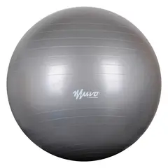 MUVO - Pelota Gym 65cm 1100 Gr
