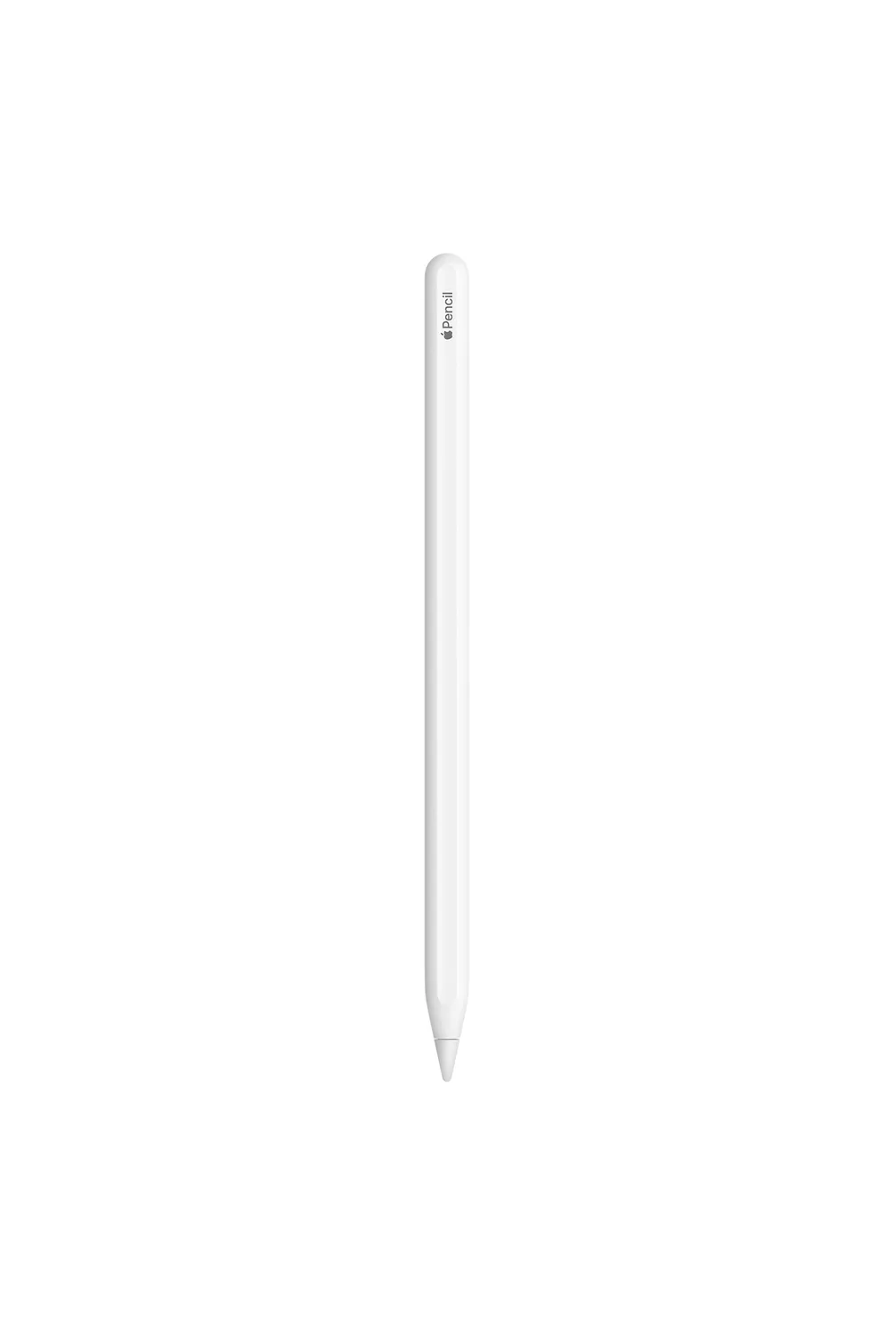 APPLE Pencil 2ª Generación Apple | falabella.com
