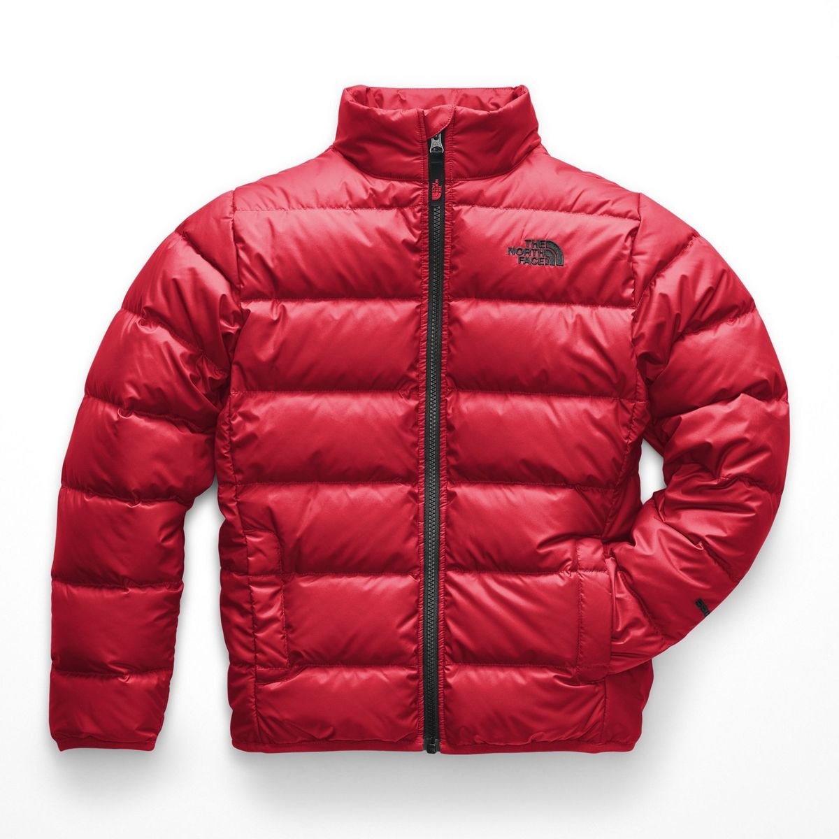 THE NORTH FACE - Calza Bebé Niña