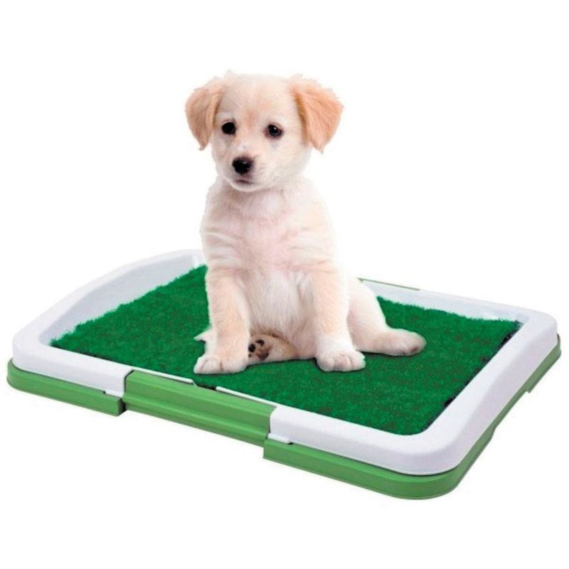 GENERICO - Baño Ecologico para Mascotas Perros Puppy