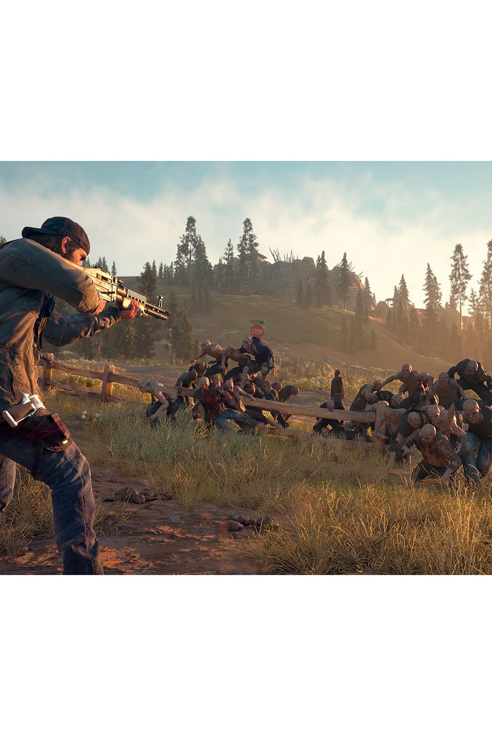 PLAYSTATION - Days Gone PS4