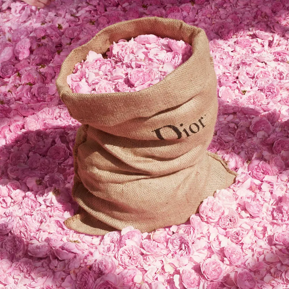 Dior Miss Dior EDT 50 ml, foto 7