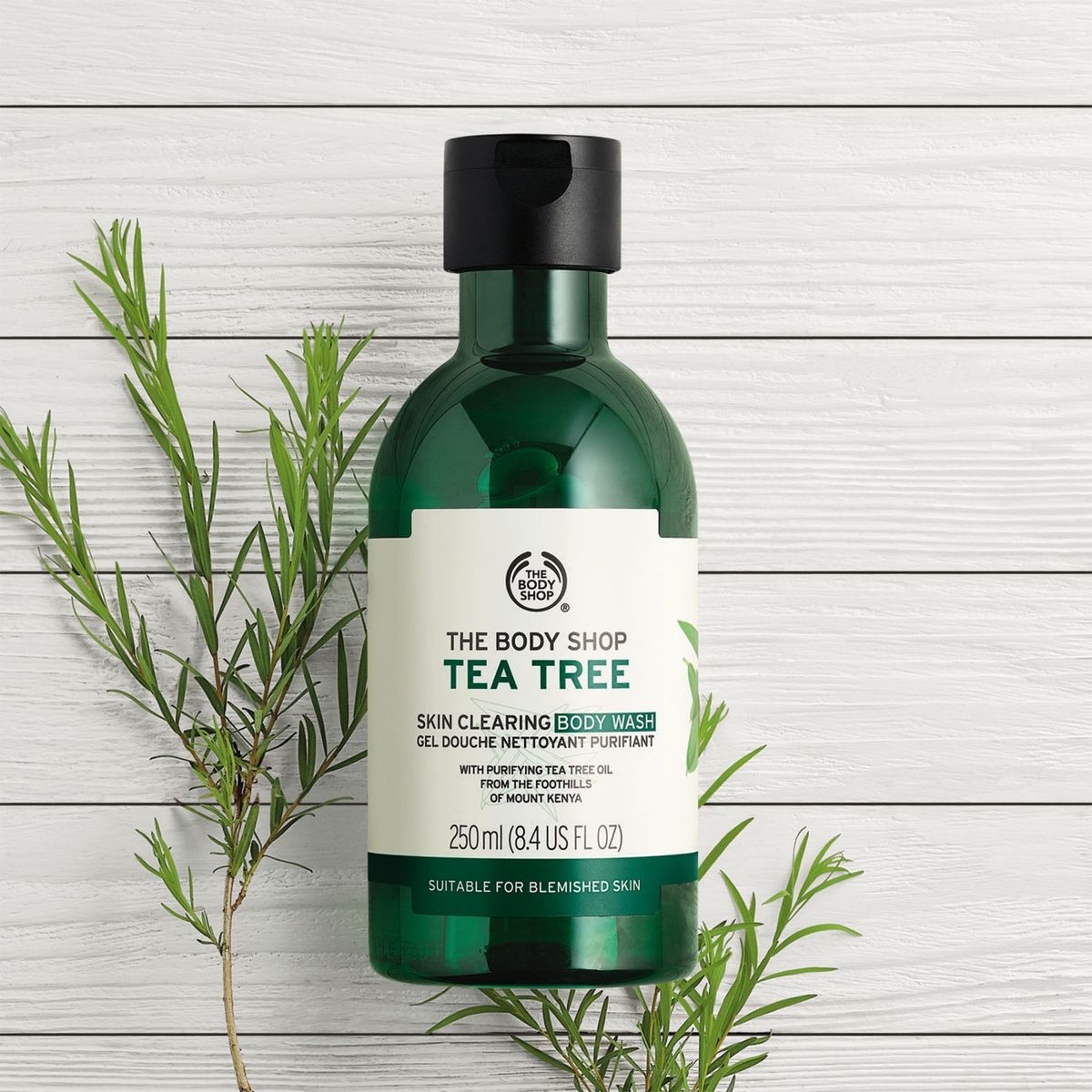THE BODY SHOP - Gel de ducha Tea Tree 250ML The Body Shop