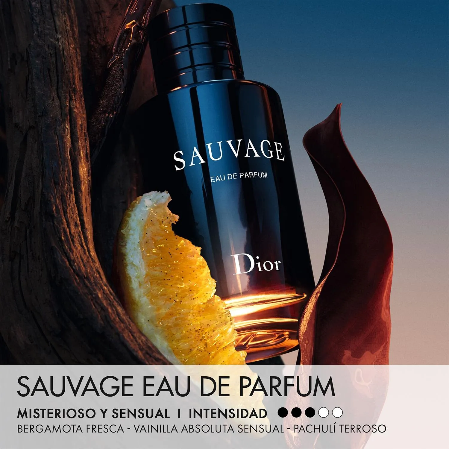 DIOR Perfume Hombre Sauvage Eau de Parfum | Falabella Chile