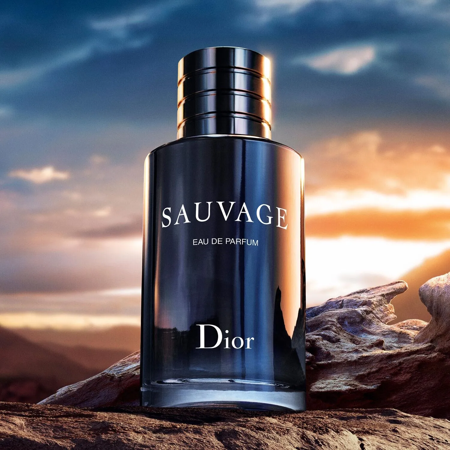 DIOR Perfume Hombre Sauvage Eau de Parfum | Falabella Chile