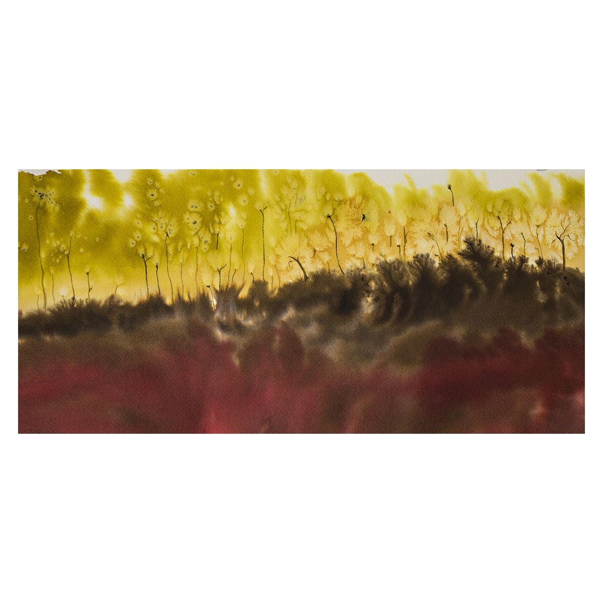 ARTE ONLINE - Cuadro Tierras Rojas