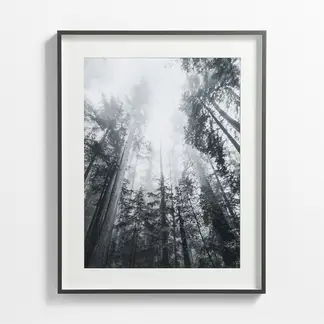 CRATE & BARREL - Marcos De Foto 73 X 58 Cm