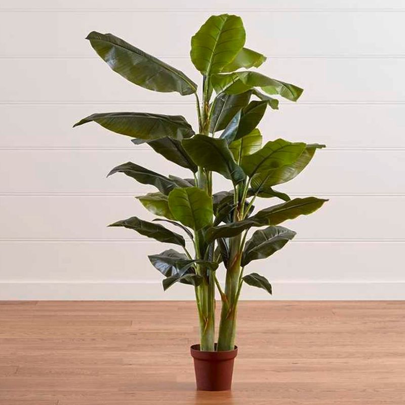 CRATE & BARREL - Arbol de Banana