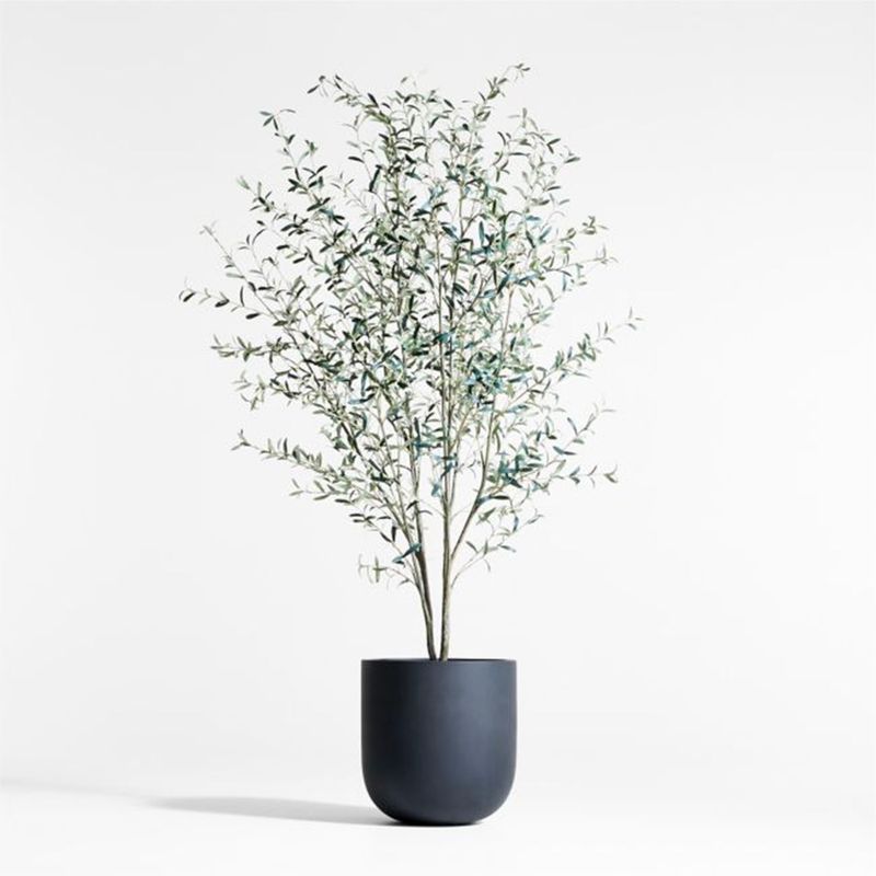 CRATE & BARREL - Olivo Artificial En Maceta Negro Crate & Barrel
