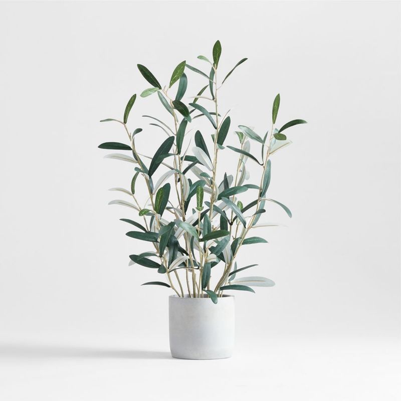 CRATE & BARREL - Árbol De Olivo Artificial En Maceta Crate & Barrel