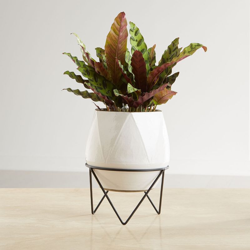 CRATE & BARREL - Macetero Aaro Con Soporte Mediano Crate & Barrel