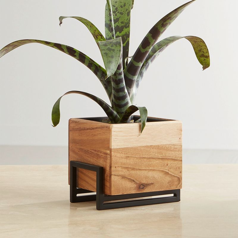 CRATE & BARREL - Macetero para Mesa Arcaydia Pequeño
