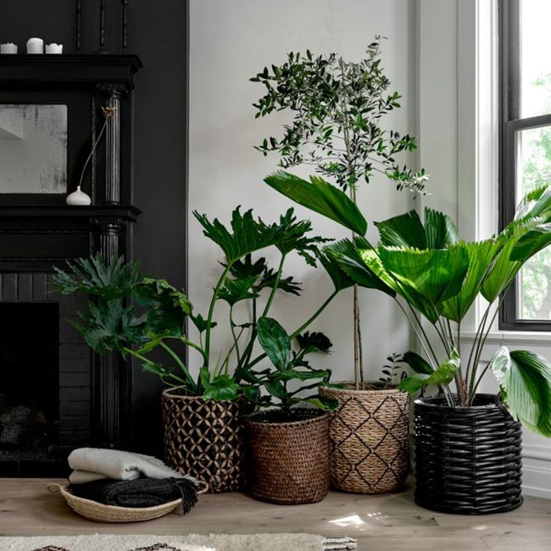 CRATE & BARREL - Canasto Safiyah