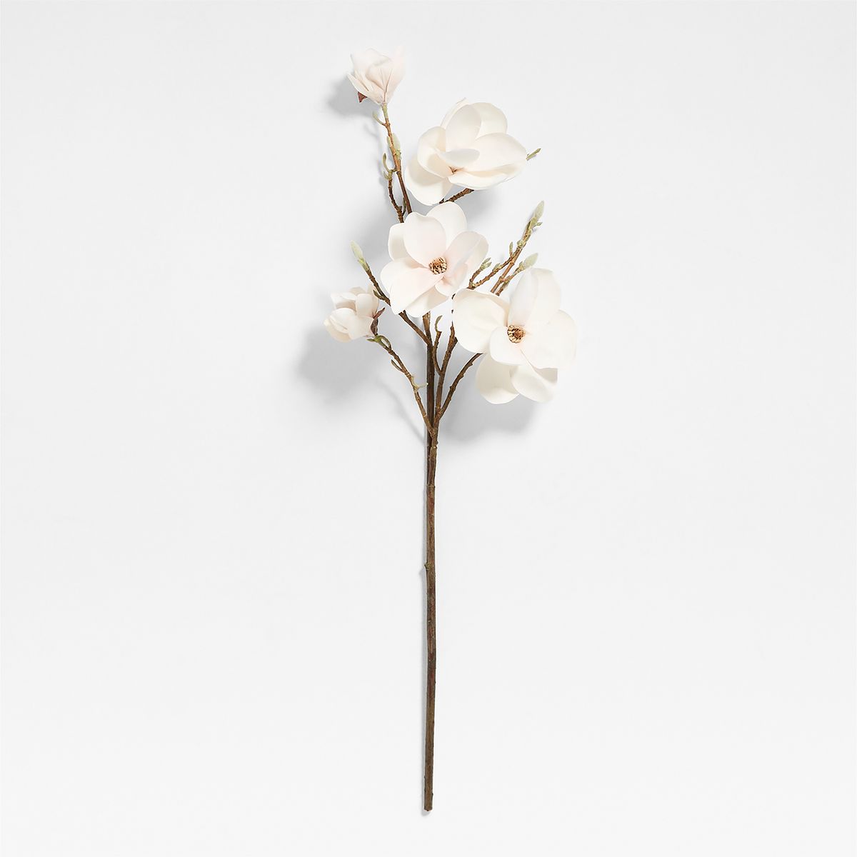 CRATE & BARREL - Rama Artificial Magnolia 104 Cm Crate & Barrel