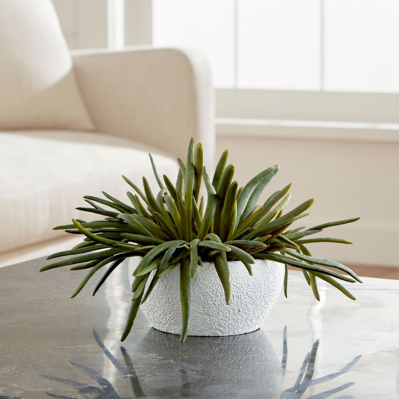 CRATE & BARREL - Suculenta Sintética Crate & Barrel
