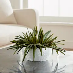 CRATE & BARREL - Suculenta Sintética