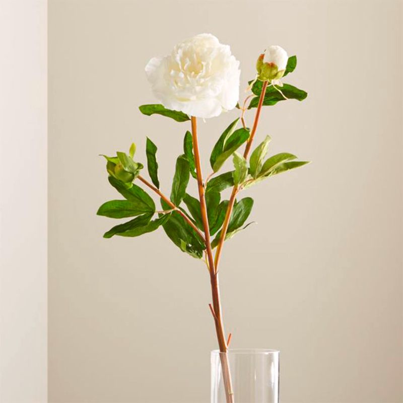 CRATE & BARREL - Peonia Blanca Sintética Crate & Barrel
