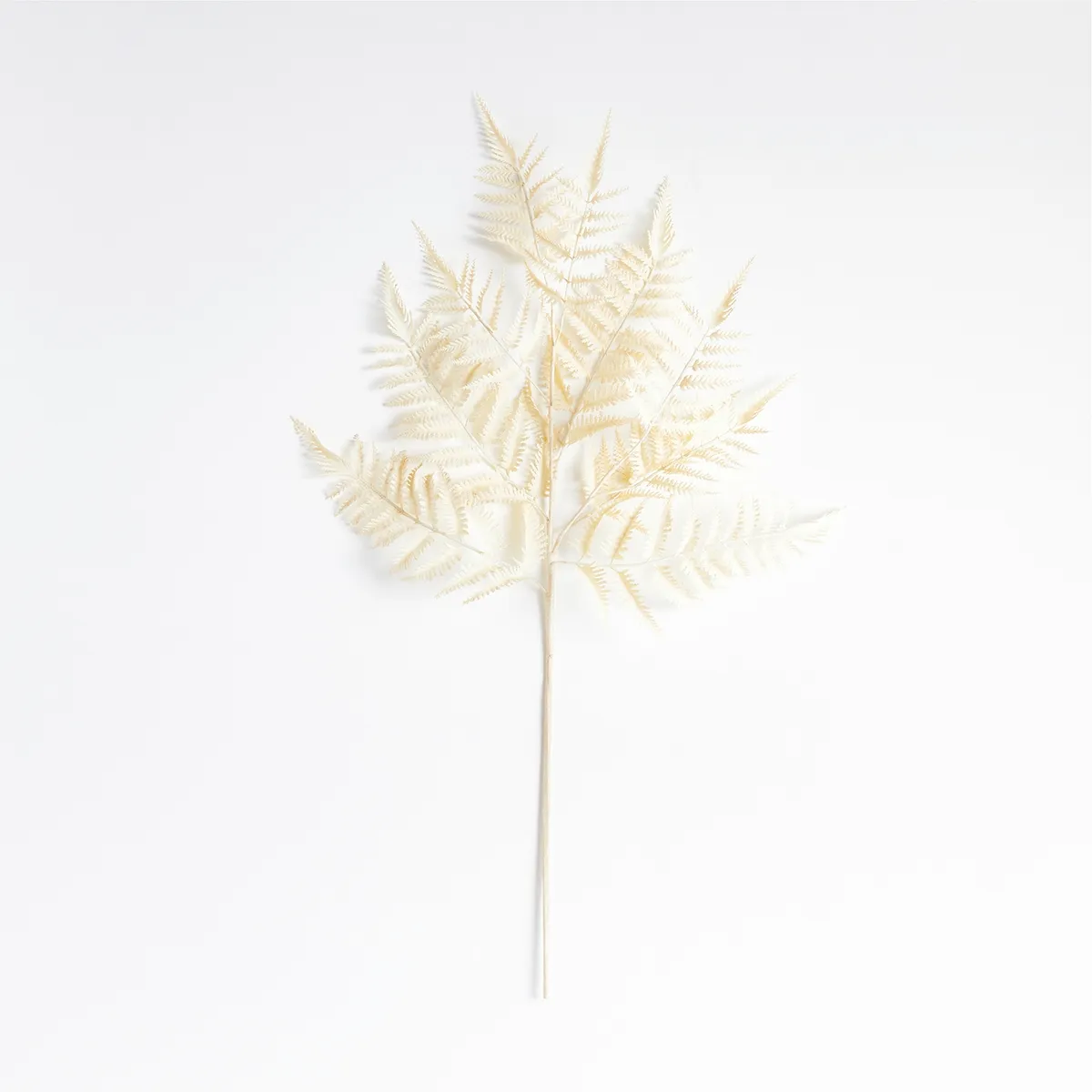 CRATE & BARREL - Rama Artificial Helecho Blanco Crate & Barrel