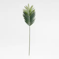 CRATE & BARREL - Rama Hoja De Palma Verde Artificial