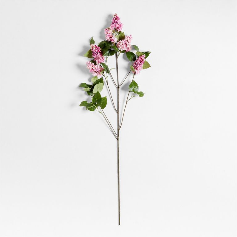 CRATE & BARREL Rama Lila Rosa Artificial 127cm