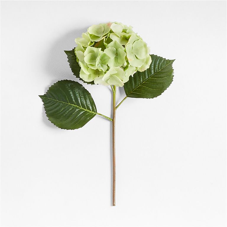CRATE & BARREL Rama Hortensia Verde Artificial 50cm
