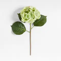 CRATE & BARREL - Rama Hortensia Verde Artificial 50cm