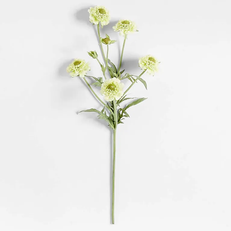 CRATE & BARREL Rama artificial escabiosa verde 60cm Abigail Ahern