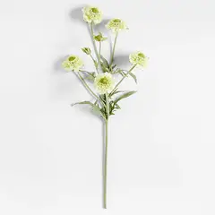 CRATE & BARREL - Rama artificial escabiosa verde 60cm Abigail Ahern