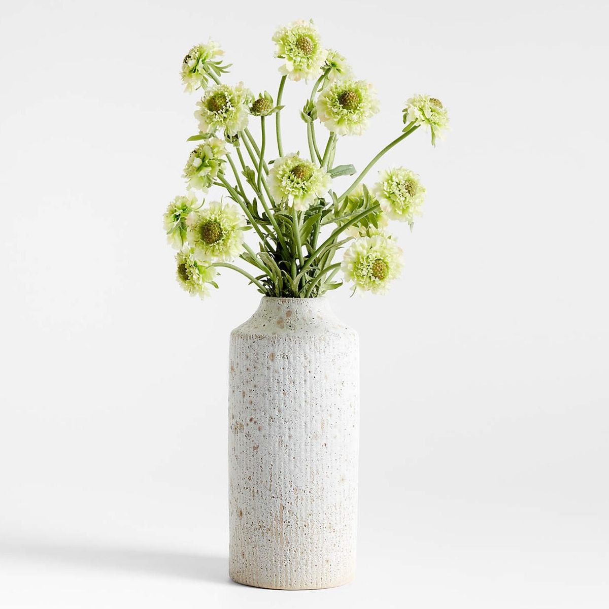 CRATE & BARREL - Rama artificial escabiosa verde 60cm Abigail Ahern