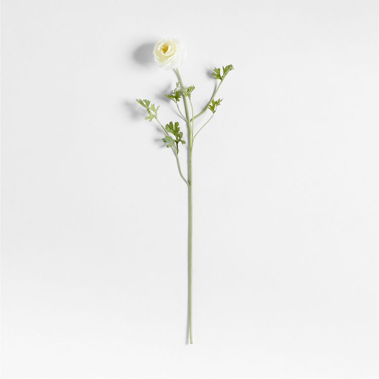 CRATE & BARREL Tallo De Ranúnculo Blanco 90Cm