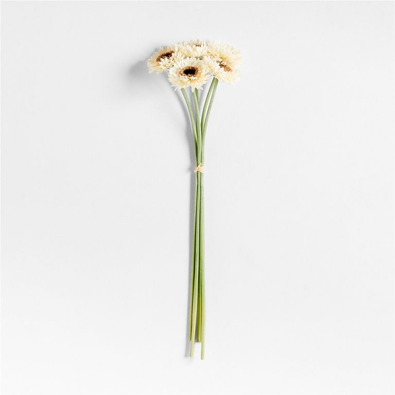CRATE & BARREL Set 5 Tallo Gerbera Daisy