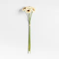 CRATE & BARREL - Set 5 Tallo Gerbera Daisy