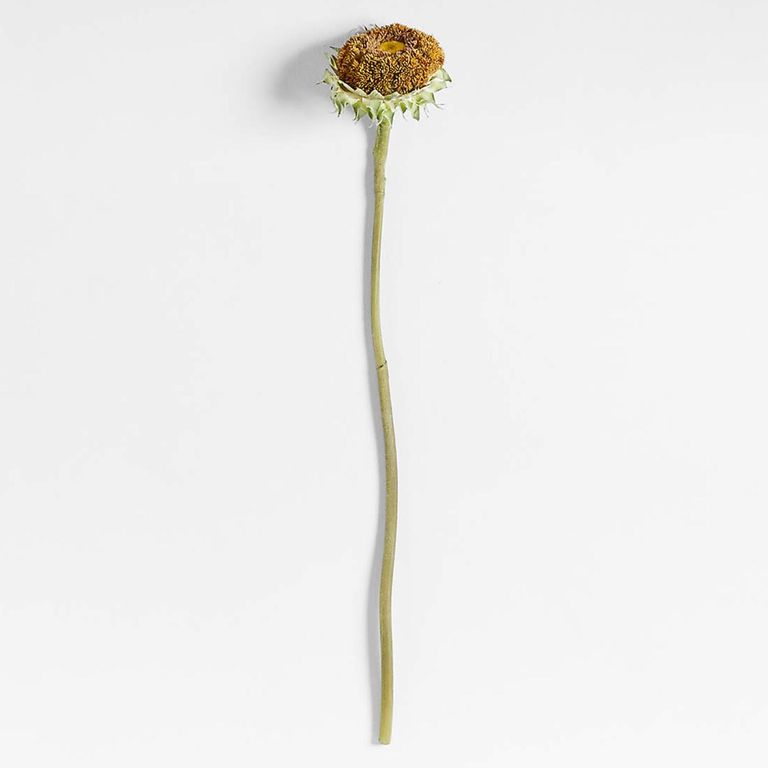 CRATE & BARREL Rama Artificial Girasol 90 Cm Abigail Ahern
