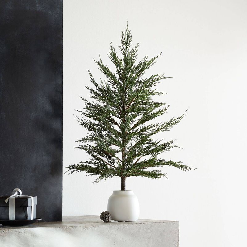 CRATE & BARREL - Árbol de Ciprés En Maceta Grande