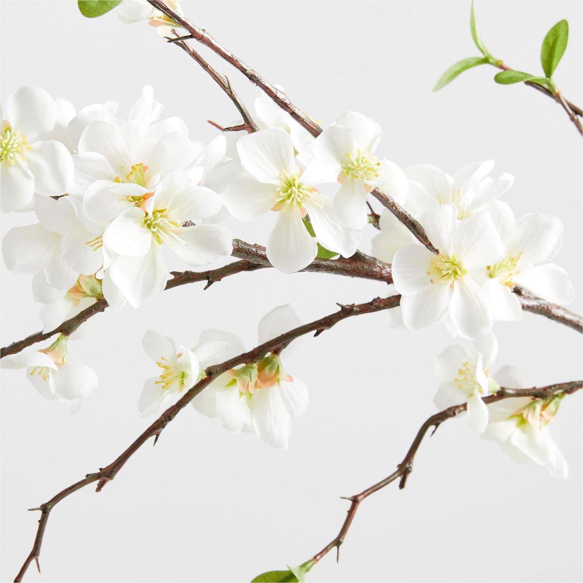 CRATE & BARREL - Rama Pera Artificial Crate & Barrel