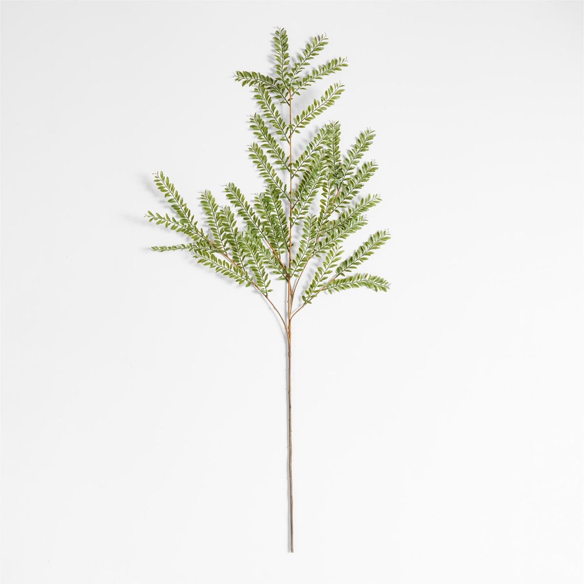 CRATE & BARREL - Rama Artificial Sauce Crate & Barrel