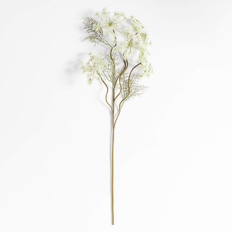 CRATE & BARREL Rama artificial Queen Annes Lace 109 cm