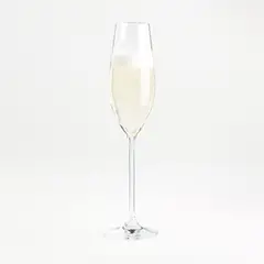CRATE & BARREL - Copa Champagne Marin