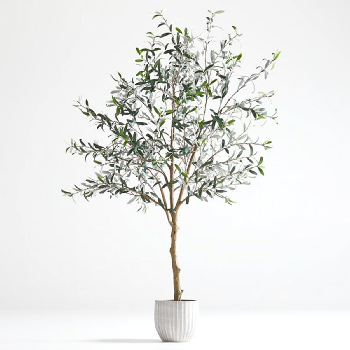 CRATE & BARREL - Árbol De Olivo Artificial En Maceta Crate & Barrel