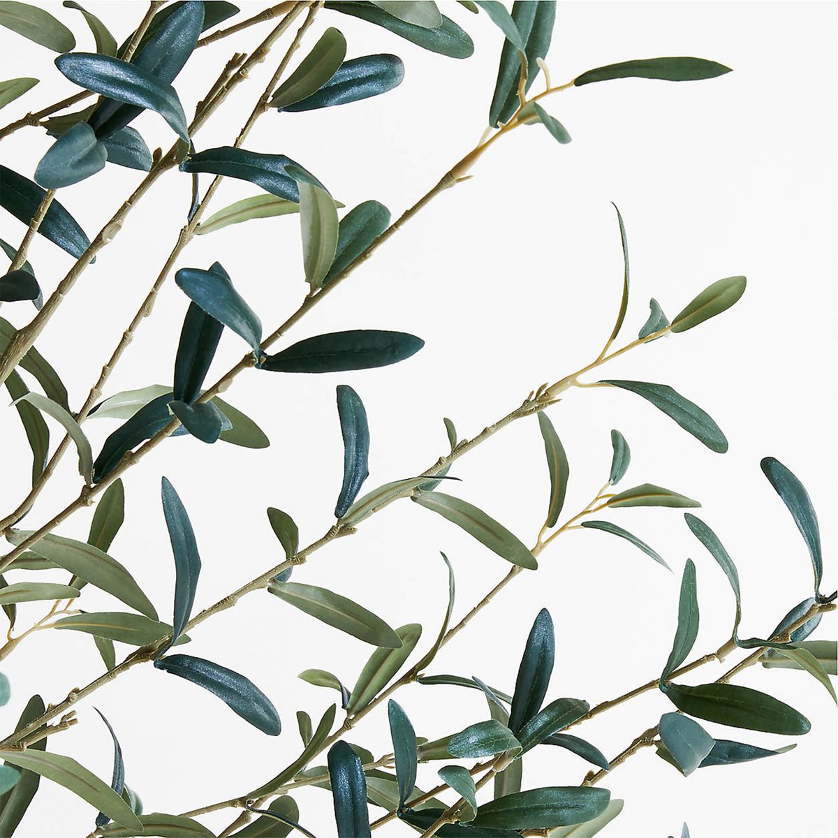 CRATE & BARREL - Árbol De Olivo Artificial En Maceta Crate & Barrel