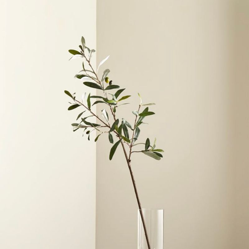 CRATE & BARREL - Rama Olivo Artificial Crate & Barrel