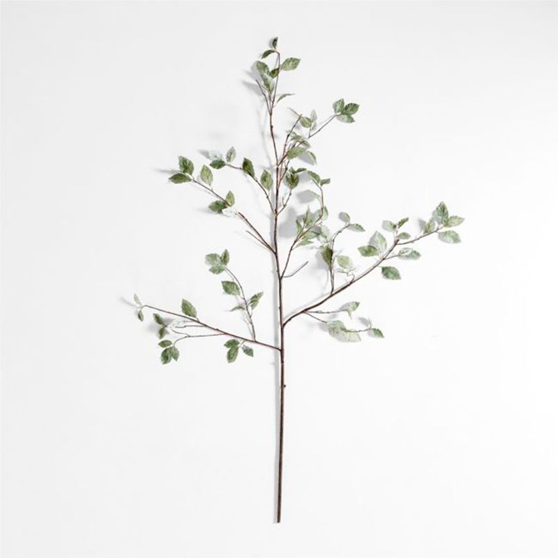CRATE & BARREL - Rama Hoja Verde Salvia Artificial Crate & Barrel