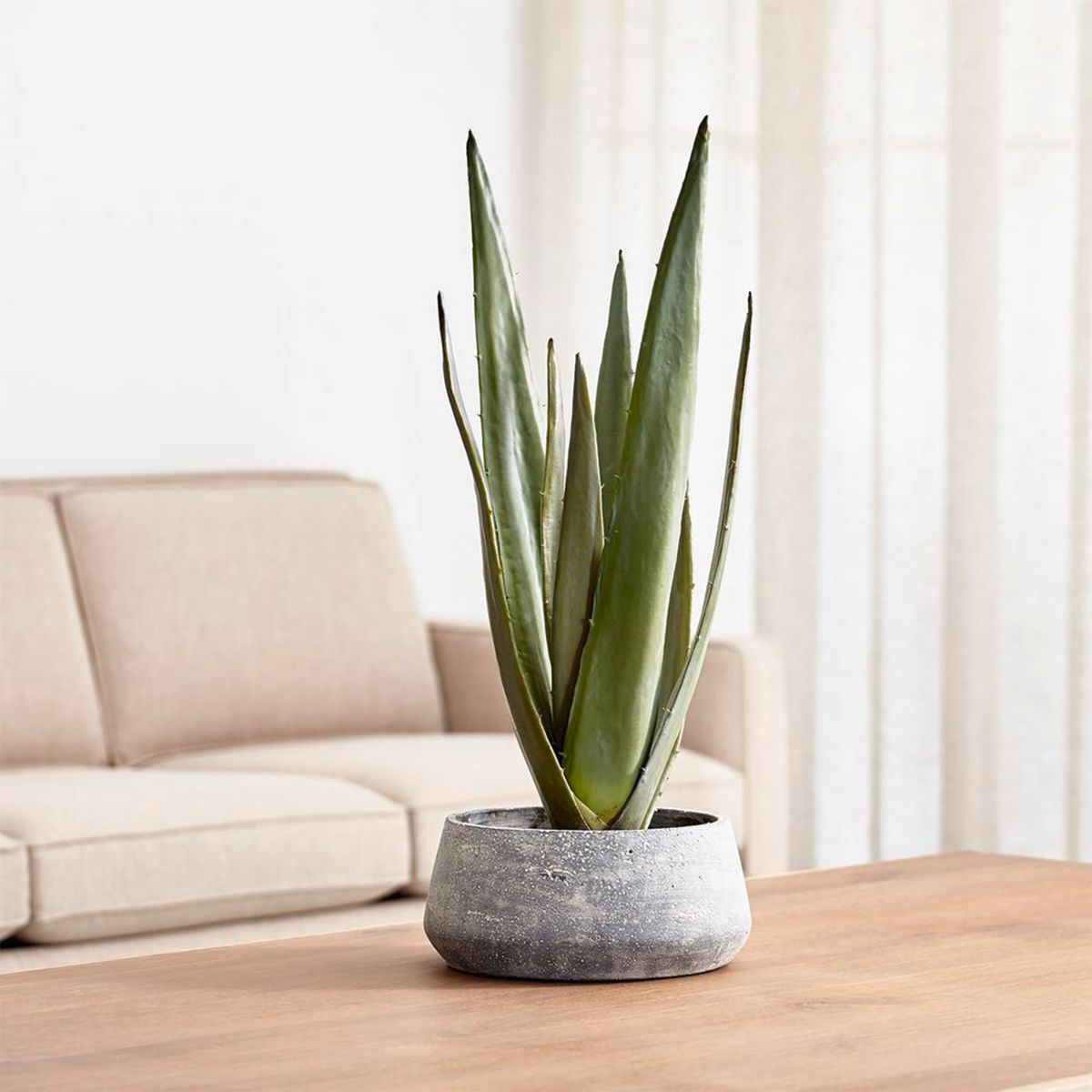 CRATE & BARREL - Maceteros con Agave Crate & Barrel